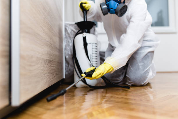 Best Residential Pest Control  in Sorgho, KY