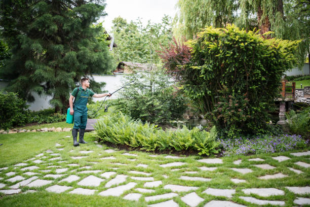 Best Exterminator Services  in Sorgho, KY